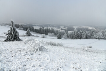 Rodeln auf der Wasserkuppe in der sch&ouml;nen Rh&ouml;n