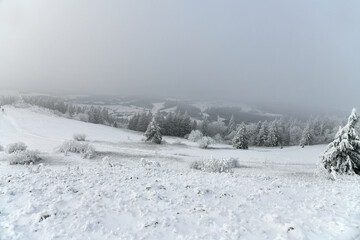 Rodeln auf der Wasserkuppe in der sch&ouml;nen Rh&ouml;n
