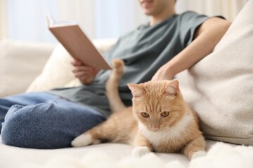 Cute ginger cat and his owner with book on sofa at home, closeup