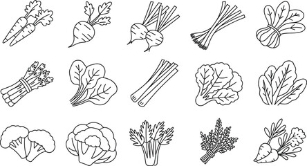 Obraz premium Set of minimalist black outline icons featuring fresh garden vegetables including carrots, radishes, beets, broccoli, cauliflower, and leafy greens.