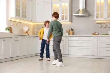 Cute brothers spending time together in kitchen
