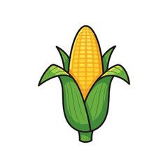 Brightly colored corn on the cob with green husks, set against a plain white background