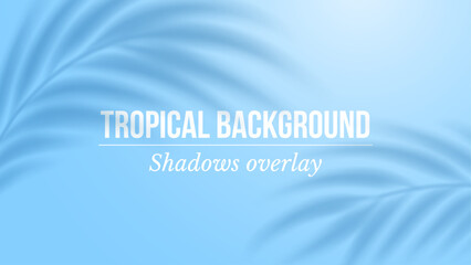 Palm leaves shadow. Transparent shadow overlay effect on blue background. Mockup with tropic palm branches shadow realistic blurred shade. Vector illustration