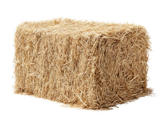 Rectangular bale of light tan straw