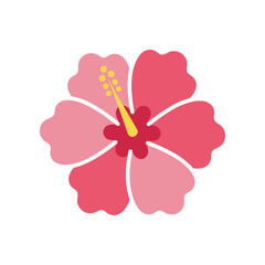 Vibrant pink hibiscus flower with yellow stamen, symbolizing beauty and tropical settings