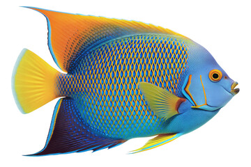 fish isolated on transparent png