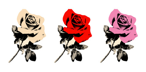 Rose flowers with leaves halftone elements for collage set. Cut out of magazine vintage stickers, white, pink and red blossoms. Modern retro vector illustration isolated on transparent background