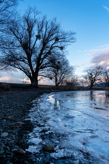 bay of Lake Constance Bodensee in blue hour  on the border of Bregenz, Vorarlberg, Austria in winter
