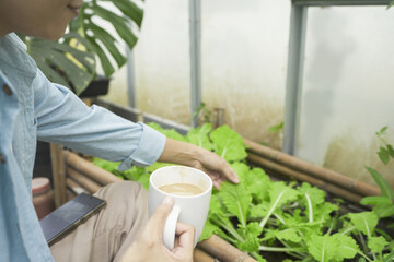 Man enjoying a quiet moment and coffee break inside an urban greenhouse focusing on the connection between sustainable living and wellness natural light and lush greenery indoor garden.