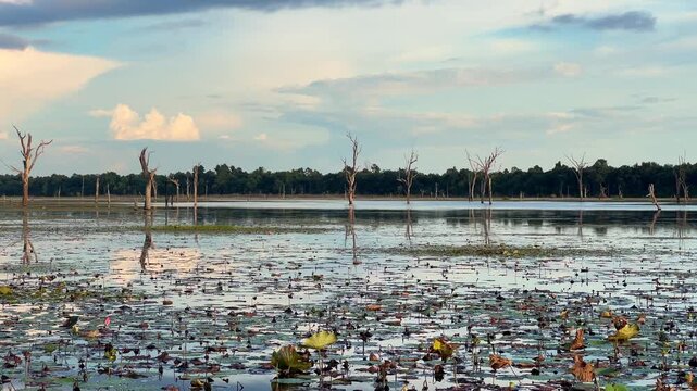 The lake near the Khmer temple of Neak Pean in Angkor, Cambodia, at sunset. The Jayataka lotus pond in Siem Reap. Neak Poan is part of the Preah Khan temple, which was built by order of Jayavarman II.