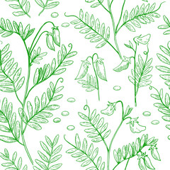 Seamless pattern with lentil plants, pods and beans. Hand-drawn detailed monochrome vector illustration.