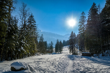 Walking trail through Melchtal valley in Swiss Alps
