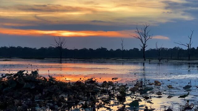 The lake near the Khmer temple of Neak Pean in Angkor, Cambodia, at sunset. The Jayataka lotus pond in Siem Reap. Neak Poan is part of the Preah Khan temple, which was built by order of Jayavarman II.