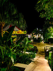 Carousel in the exotic garden of the Casino, Monaco at Night