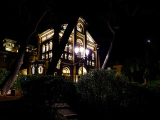 View of Cathedral of Our Lady Immaculate from the gardens, Monaco at Night