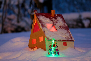 a model house standing in the snow