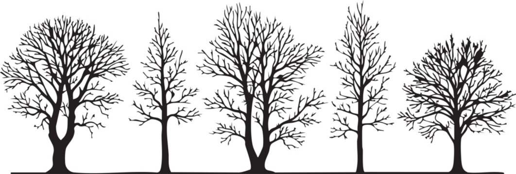 Collection of bare winter trees in silhouette isolated on transparent background