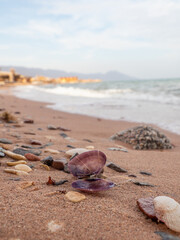 Nuwaiba beach, Egypt