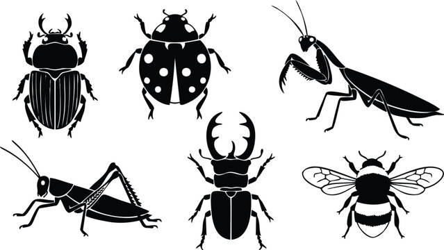 Silhouette vector set close up six insect icons including stag beetle ladybug praying mantis grasshopper cricket and bumblebee isolated on white background for nature designs collection