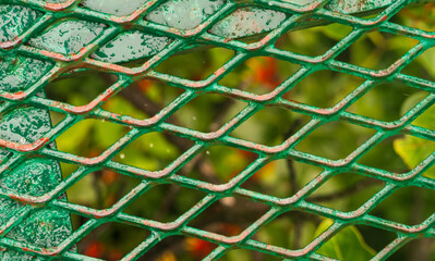Obraz premium Metal grid underfoot when crossing the moss and tree filled valley on hanging bridge in rainforest of Monteverde in Costa Rica on wet rainy day