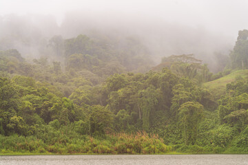 Obraz premium Lush green rainforest landscape on Lake Arenal in Costa Rica with mist and fog hanging over the trees. This tropical scenery and nature background