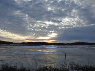 Obraz premium The tranquil beauty of the wetlands, during the winter season. Bombay Hook National Wildlife Refuge, Kent County, Delaware. 