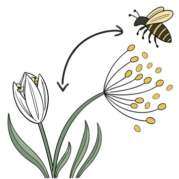 A sophisticated icon clearly depicting the essential cross-pollination mechanism, showing a bee transferring pollen between two distinct flowers, a vital process for plant reproduction