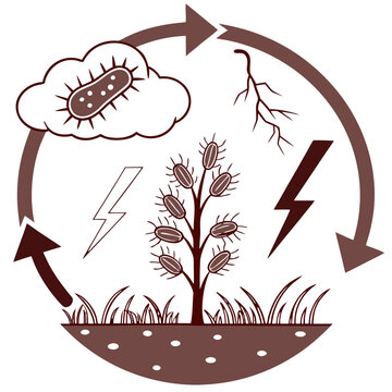 A Sophisticated Nitrogen Cycle Icon Illustrating Atmospheric Processes and Plant Life Within a Continuous Ecosystem Loop