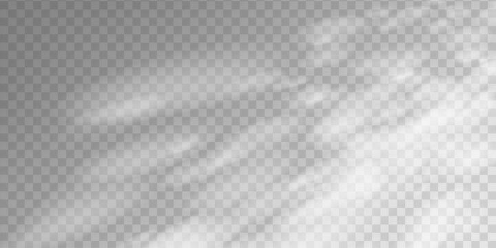 Realistic sunlight overlay effect casts window shadows on white empty room wall and floor. Minimal studio backdrop creates soft sun shade for product mockup and interior display.