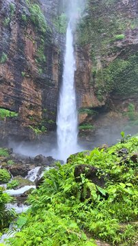 Koban Kapas Biru is a waterfall in the tropical jungles of East Java, descending from a high cliff into a lush green canyon surrounded by tropical forests with vibrant vegetation.Lumajang River. 4К