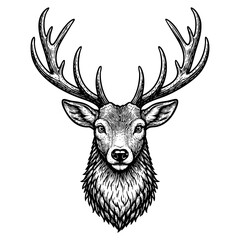 Vintage black ink engraved deer head with antlers illustration isolated on white background