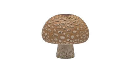 Brown spotted mushroom isolated on transparent background
