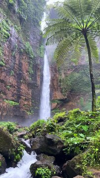 Koban Kapas Biru is a waterfall in the tropical jungles of East Java, descending from a high cliff into a lush green canyon surrounded by tropical forests with vibrant vegetation.Lumajang River. 4К