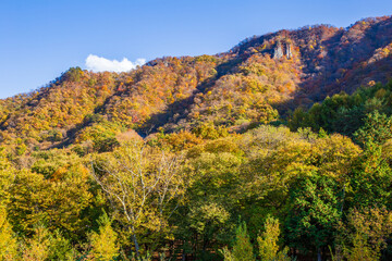 Fototapeta premium 日本の風景・秋 群馬県長野原町 紅葉の八ッ場あがつま湖（八ッ場ダム）