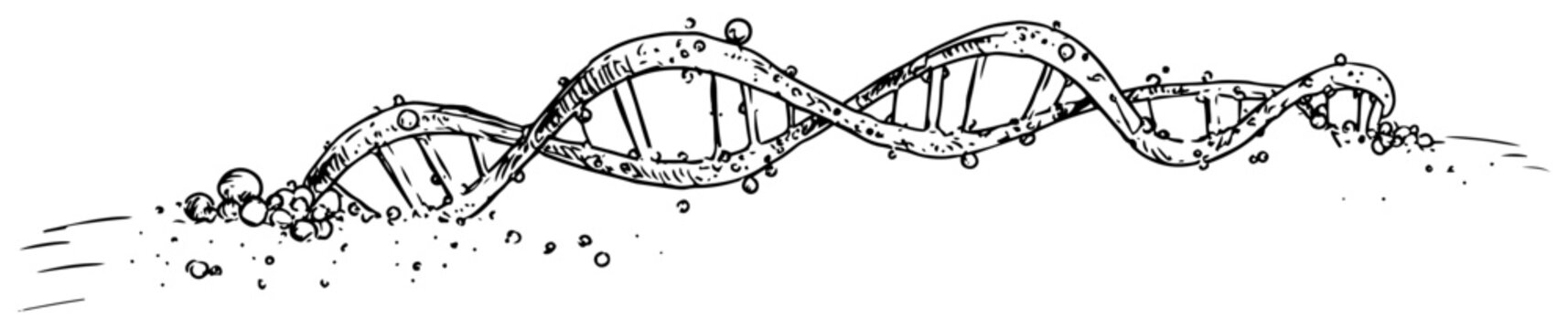 Detailed scientific sketch of a DNA double helix strand with floating particles