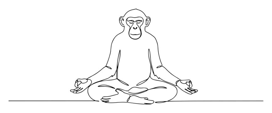 monkey sitting in meditation yoga lotus pose