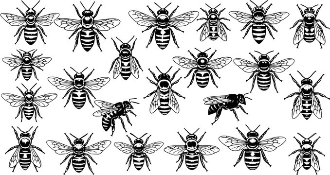 Swarm of Bees: Detailed Black and White Vector Illustration