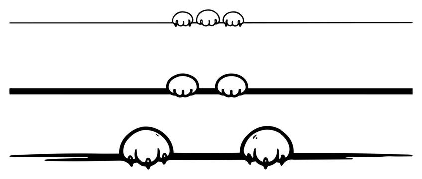 Set of three horizontal lines with cute animal paws peeking over the edge