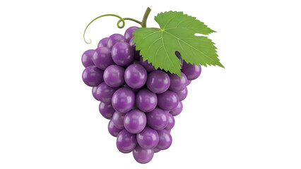 Fototapeta premium Bunch of Purple Grapes with Leaves.