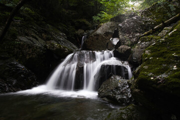 Fototapeta premium 大岩の滝 神奈川県相模原市緑区