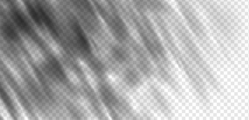 Dappled leaf shadows and tree branch silhouettes cast a natural sunlight effect on a white wall. Soft foliage gobo and summer garden patterns create a realistic sunny atmosphere for studio mockups. © Azat Valeev