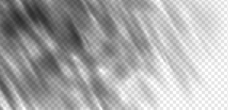 Dappled leaf shadows and tree branch silhouettes cast a natural sunlight effect on a white wall. Soft foliage gobo and summer garden patterns create a realistic sunny atmosphere for studio mockups.