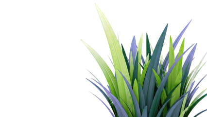 Vibrant green grass blades isolated on white background