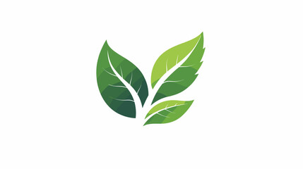 Three Green Leaves Illustration Design Element.