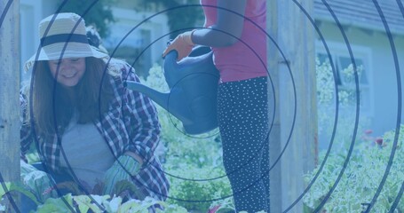 Working family planting in backyard raised bed, child pouring plastic watering can, wearing hat