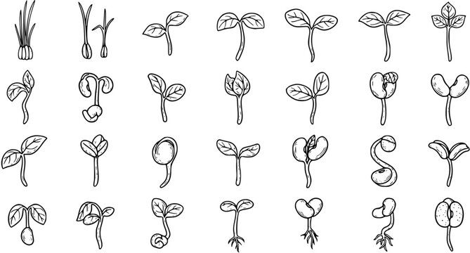 Collection of hand-drawn plant sprouts and germinating seedlings icons, showing different stages of growth in black and white line art, for nature, gardening, or educational themes.