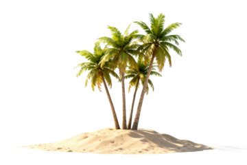 Tropical Island with Palm Trees on Sandy Beach