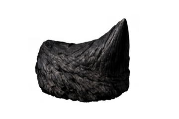 Black rhino horn cut, symbolizing poaching crisis, the endangered status of wildlife, illegal hunting, and urgent conservation efforts