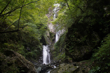 	早戸大滝　神奈川県相模原市緑区