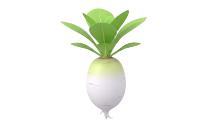 Illustration of a Daikon Radish with Green Leaves